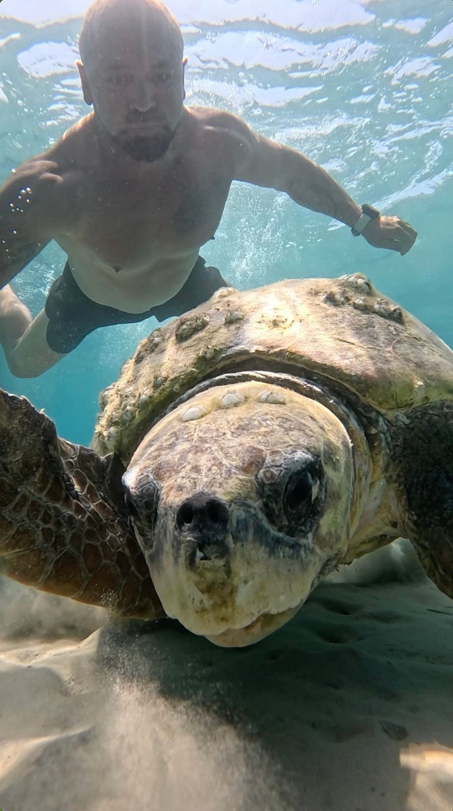 Gallery 4bdec175 4168 49f3 8f4b 3363e7140dd2