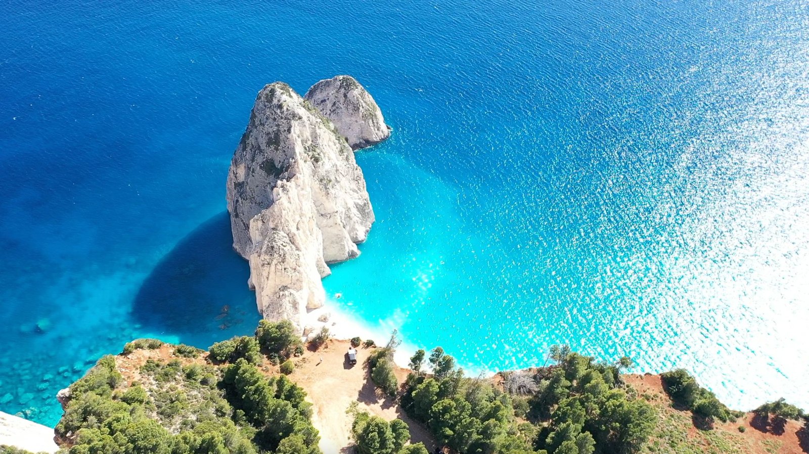 whatsapp image 2026 02 03 at 3.44.10 pm (2)