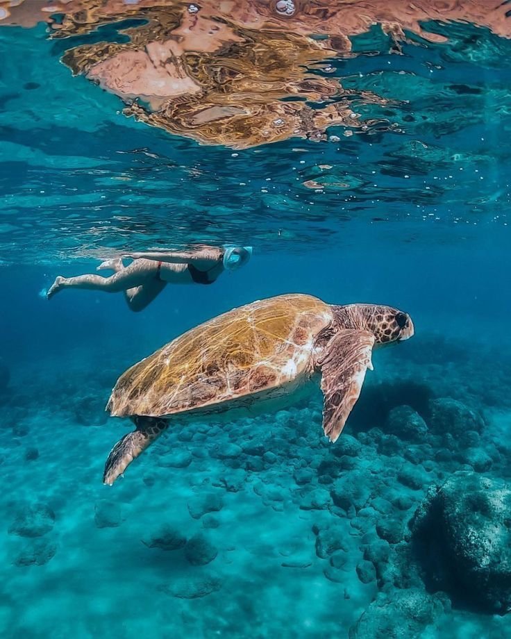 whatsapp image 2026 02 19 at 11.35.44 am