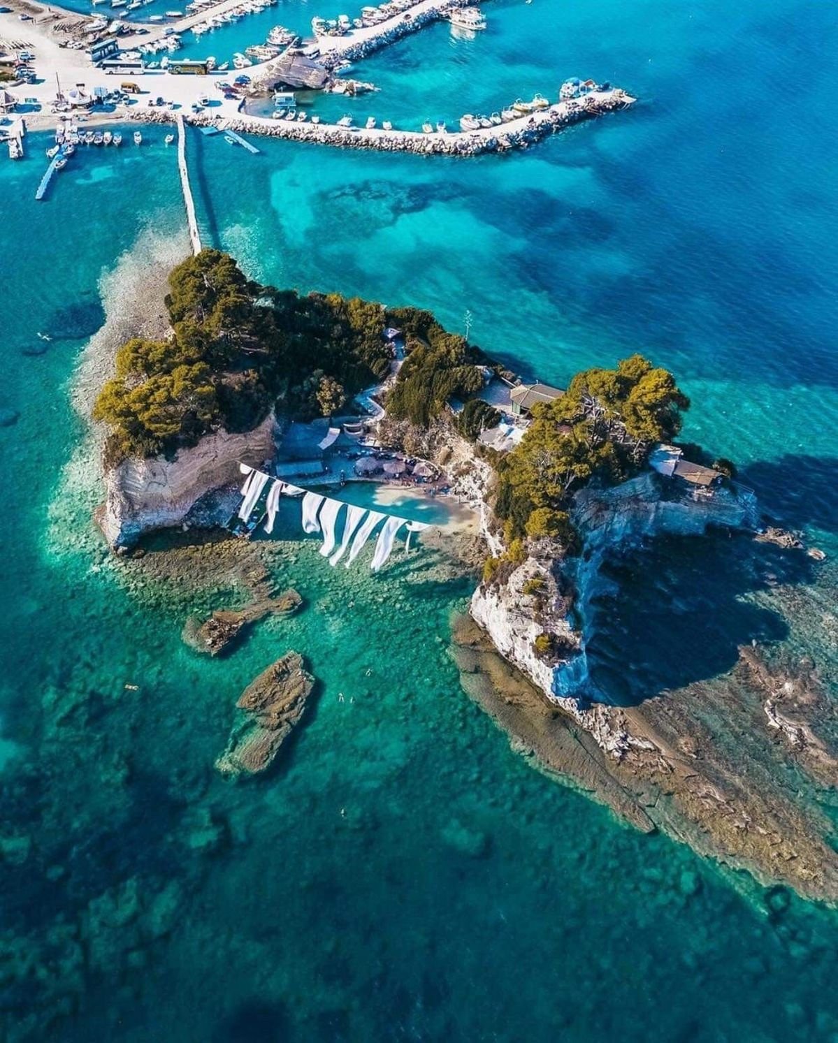 whatsapp image 2026 02 19 at 11.35.45 am (1)