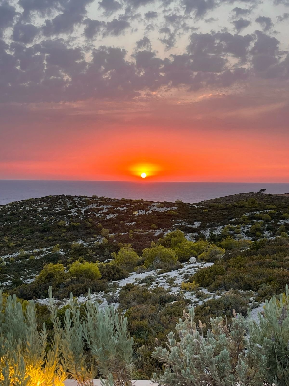 Romantic Sunset Boat Tour | Shipwreck & Blue Caves whatsapp image 2026 02 19 at 12.00.06 pm